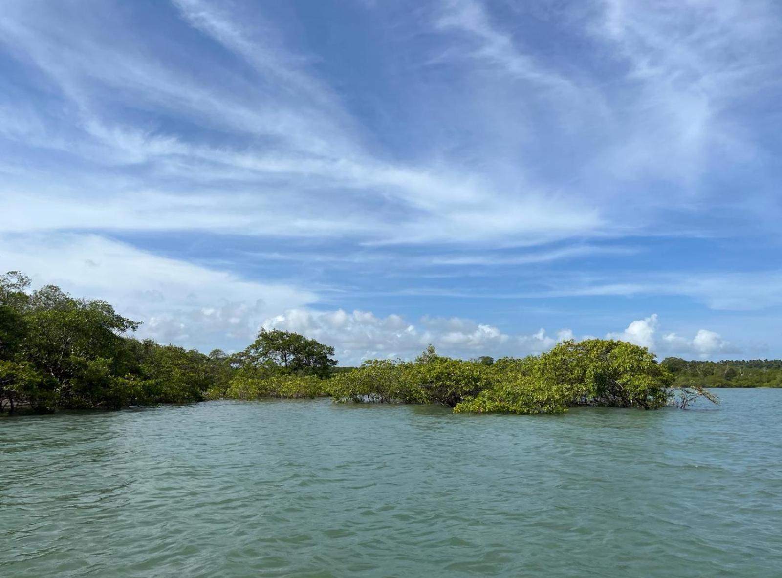 Ecolodge Batel Alagoas Coruripe Exterior photo