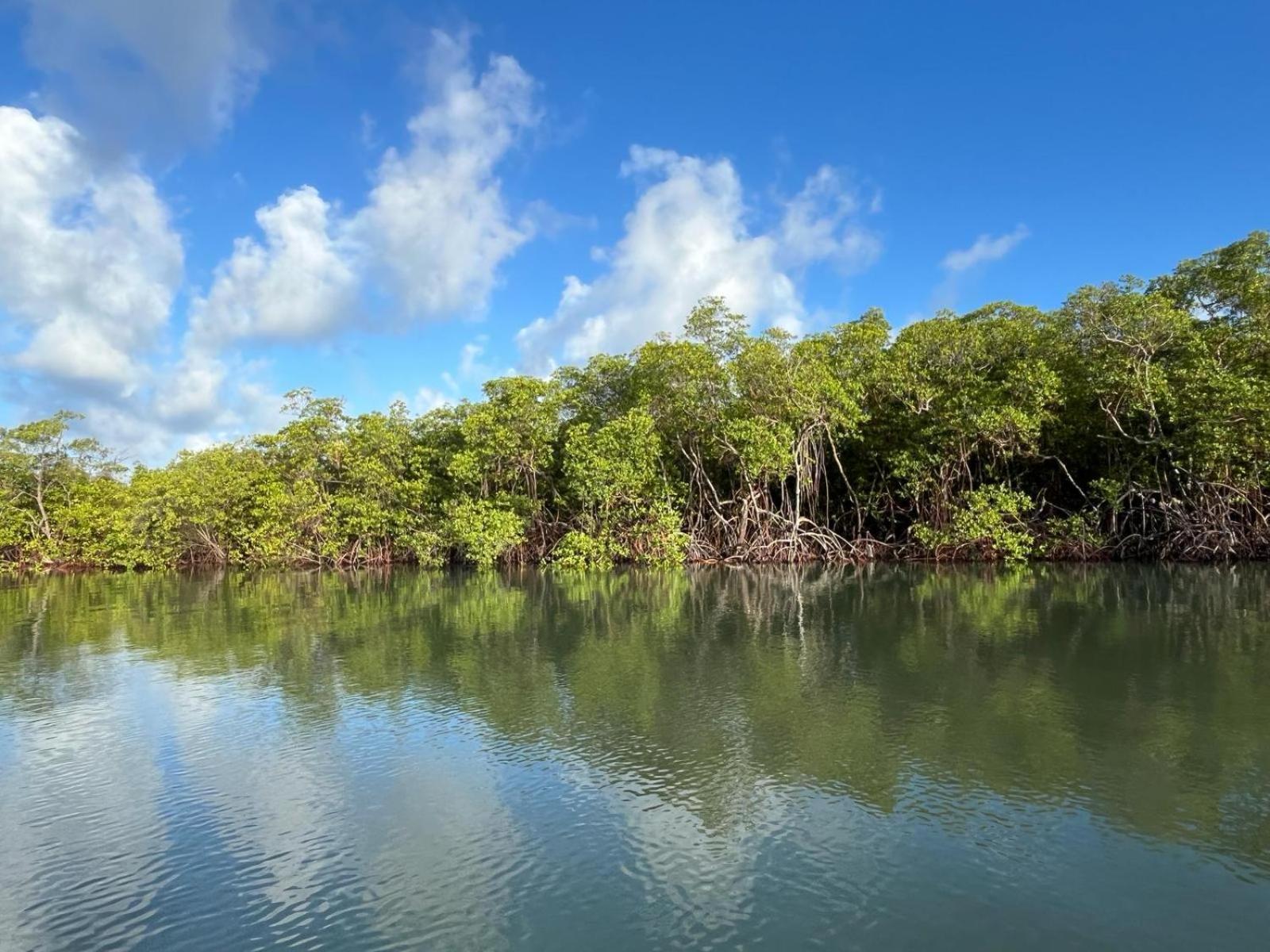 Ecolodge Batel Alagoas Coruripe Exterior photo