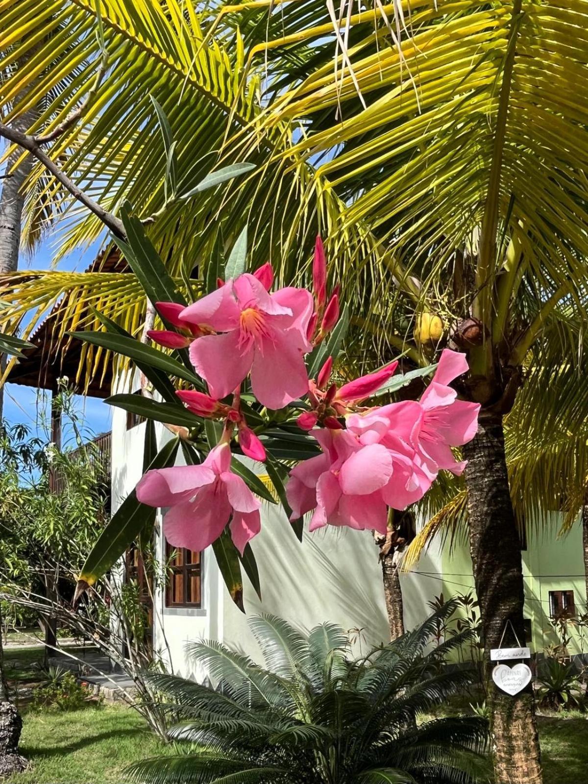 Ecolodge Batel Alagoas Coruripe Exterior photo