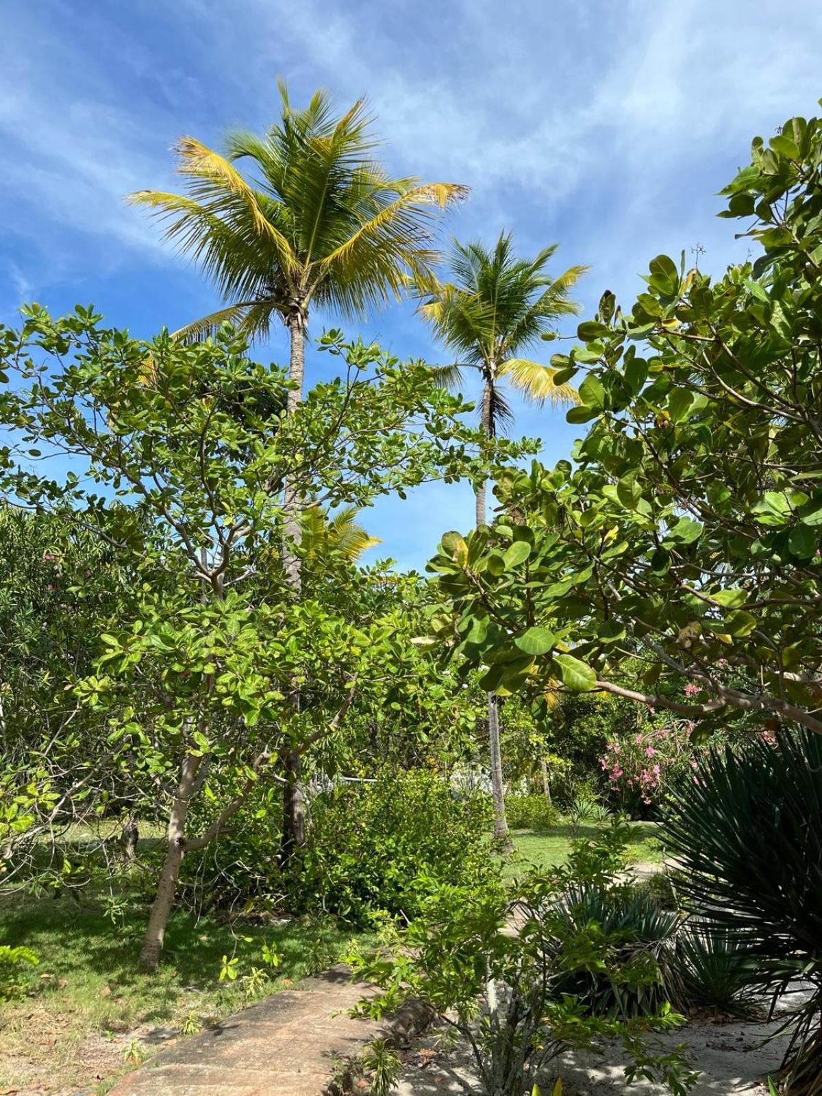 Ecolodge Batel Alagoas Coruripe Exterior photo